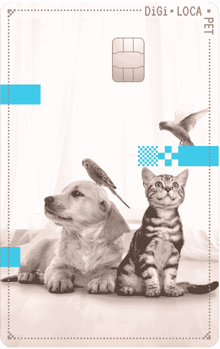 디지로카 Pet